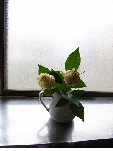 a0070831_9311238.jpg