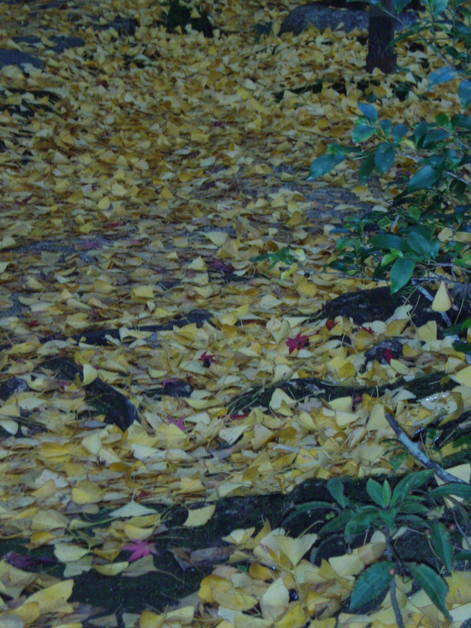f0095431_0575044.jpg