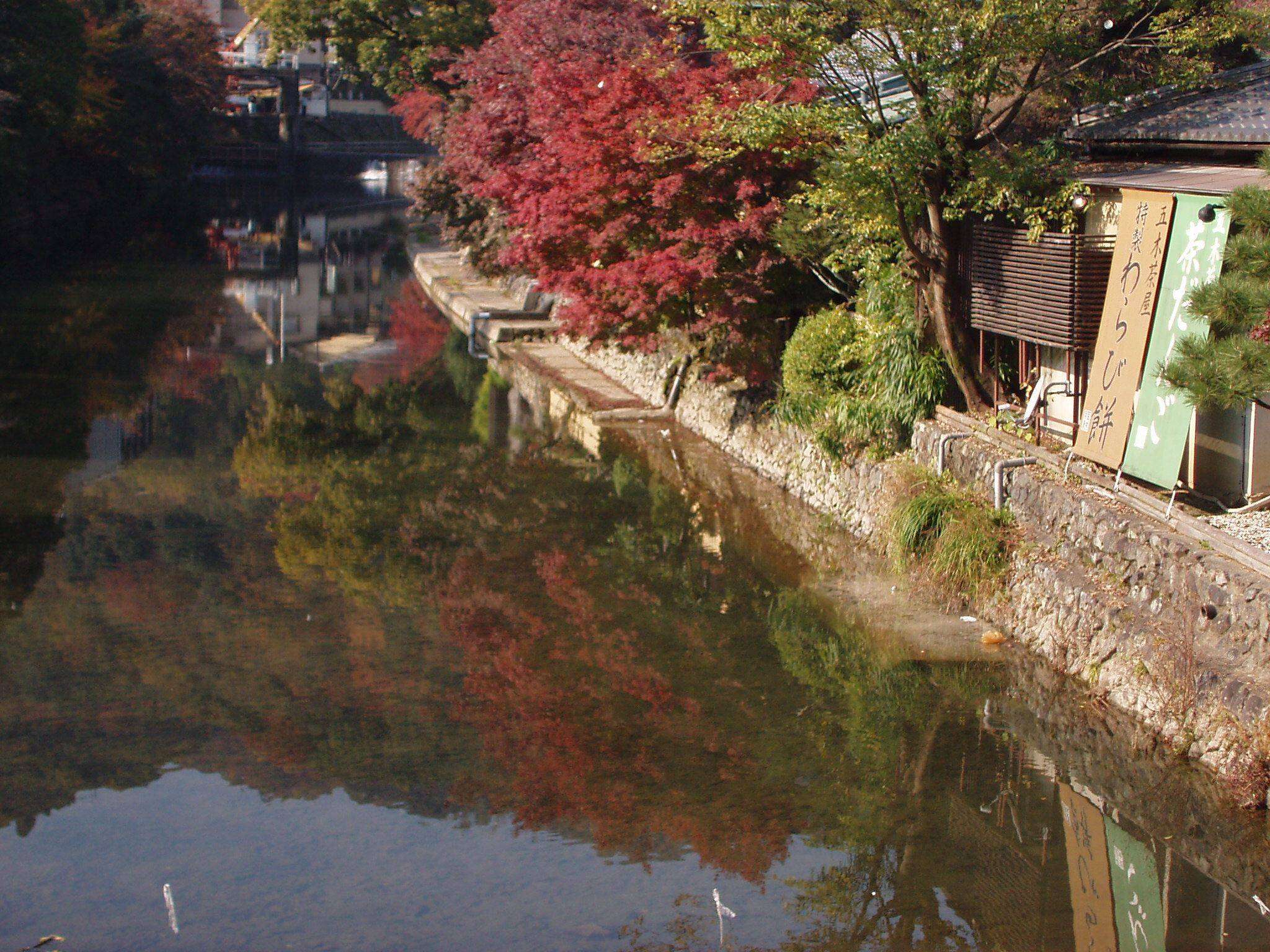 f0095431_115547.jpg