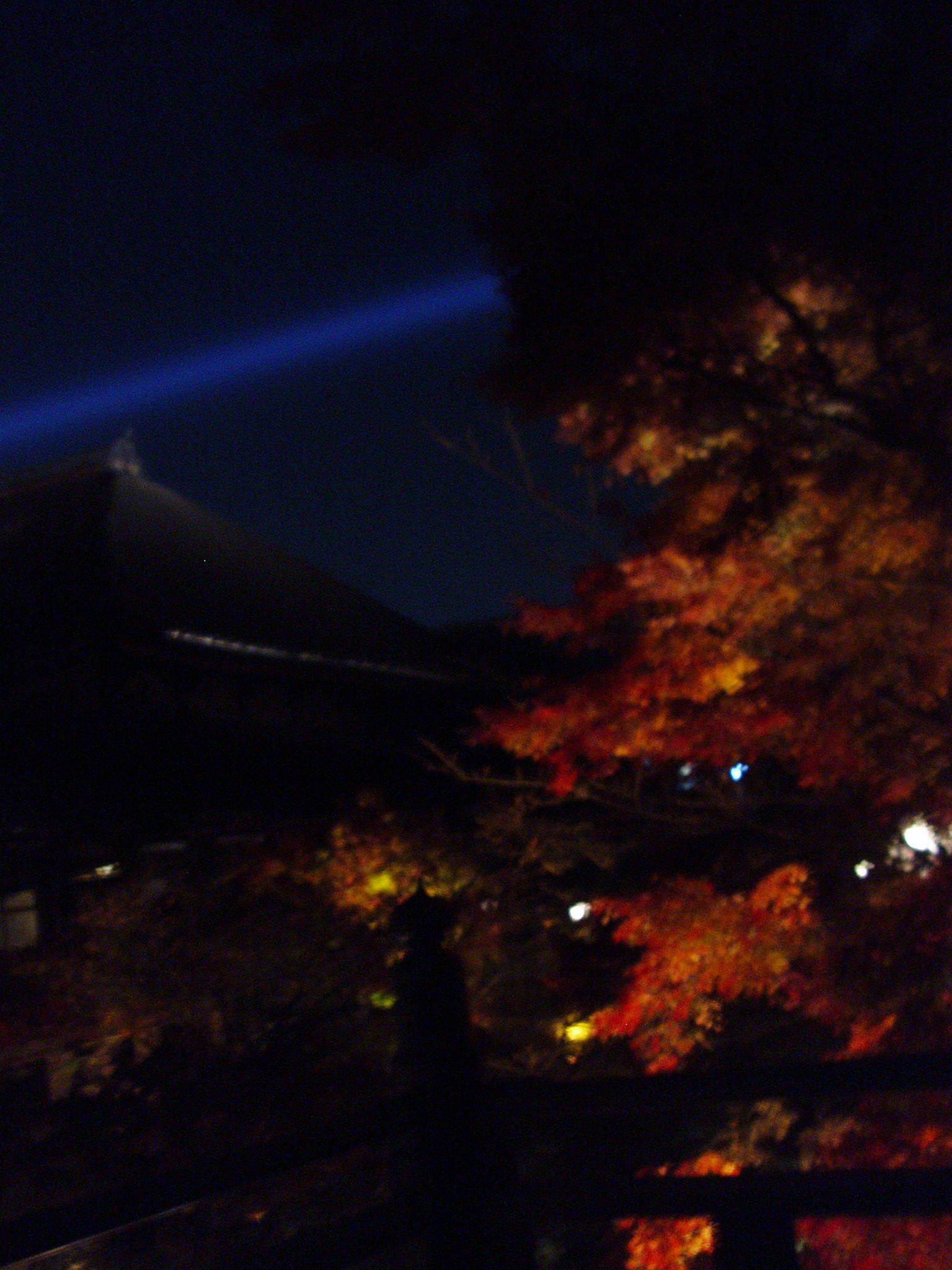 f0095431_1243165.jpg