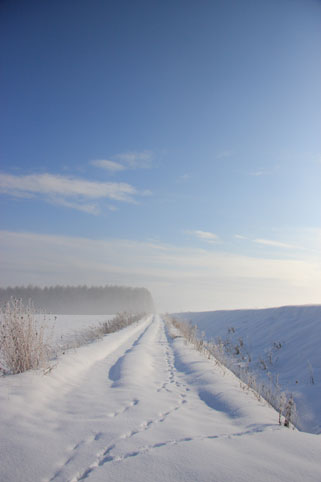 d0069235_21404712.jpg
