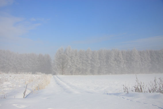 d0069235_215763.jpg