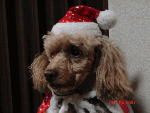 c0136736_18231786.gif