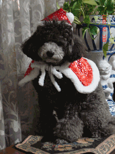 c0136736_1824252.gif