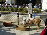 c0011446_2121561.jpg