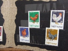 c0081552_15807.jpg