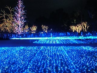 d0094056_15215279.jpg