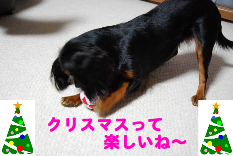 a0101958_14221433.jpg