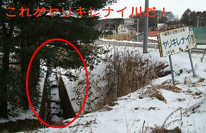 a0004359_2371381.jpg