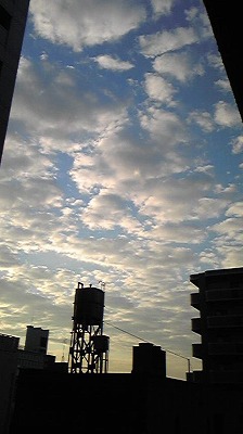 a0035060_8301634.jpg