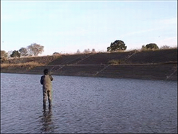 f0084561_1239949.gif
