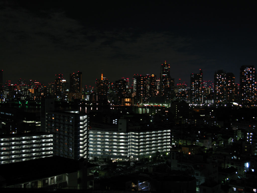 a0001863_0561185.jpg