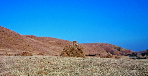 d0102968_2146799.jpg