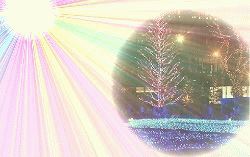 e0041168_9445822.gif