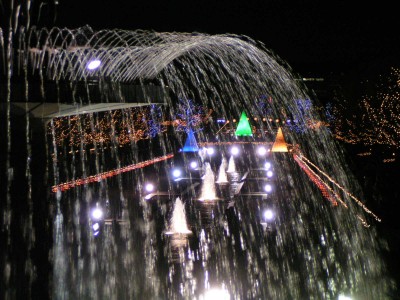 c0112172_45766.jpg