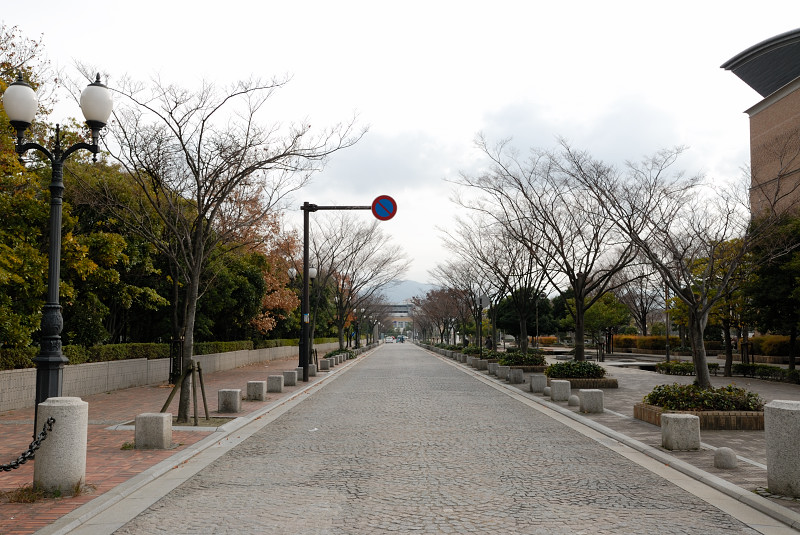 f0150672_1814334.jpg