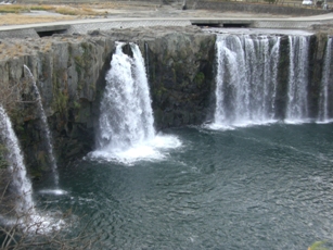 f0116278_2311828.jpg