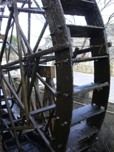 f0116278_232514.jpg
