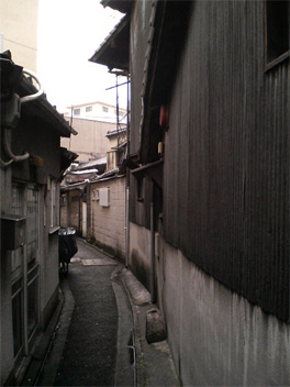 f0089079_113983.jpg
