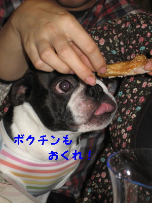 c0092787_1247555.jpg