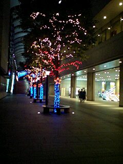 c0068891_22203534.jpg