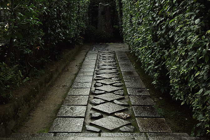 d0069495_21523665.jpg