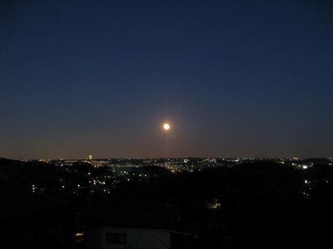 d0010496_191346.jpg