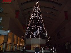f0153998_1265618.jpg