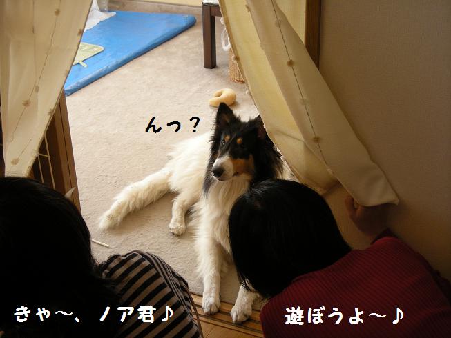 f0081100_15263341.jpg