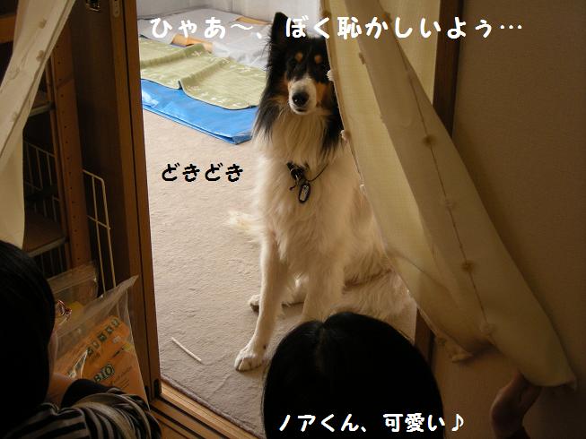 f0081100_15291237.jpg