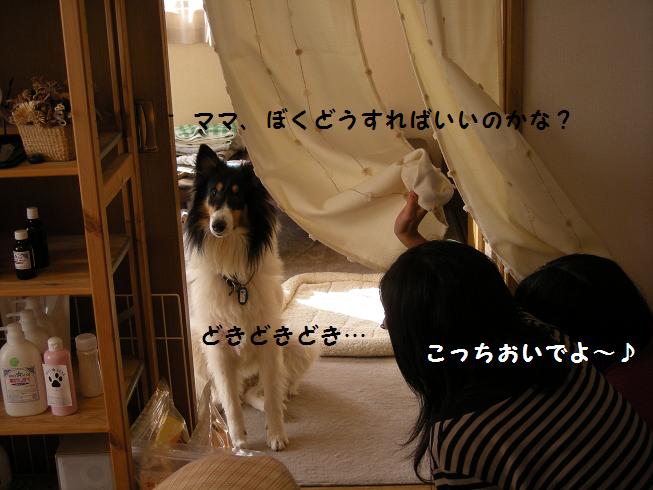 f0081100_15311912.jpg