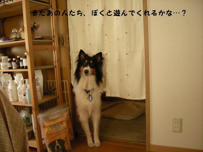 f0081100_15331675.jpg
