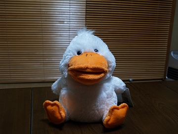 d0080601_1225948.jpg