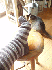 c0129702_21215733.gif