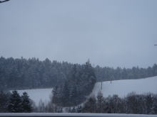a0053203_16786.jpg