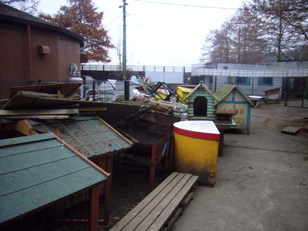 e0018604_8575850.jpg