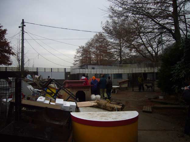 e0018604_9688.jpg