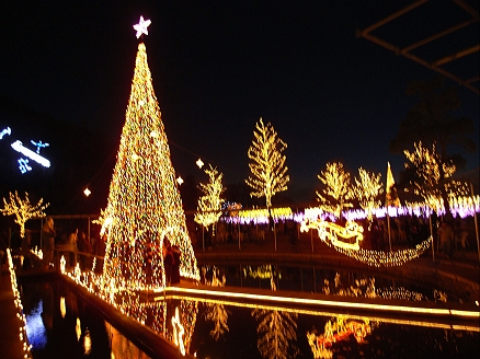 f0065604_1942538.jpg