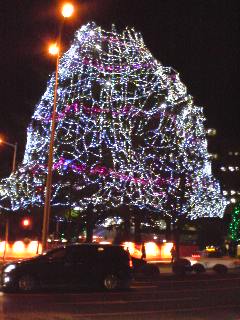 b0079206_040239.jpg
