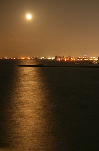 b0061108_21582873.jpg