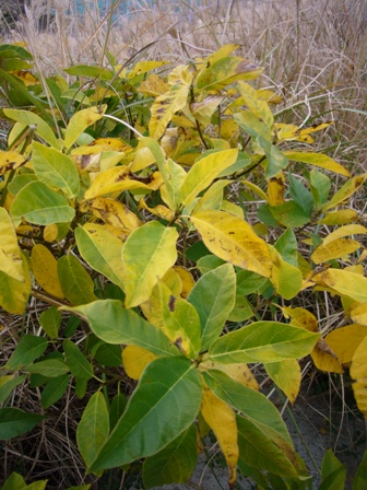 c0092408_1446441.jpg