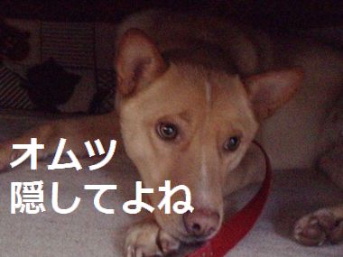 b0008709_12274799.jpg