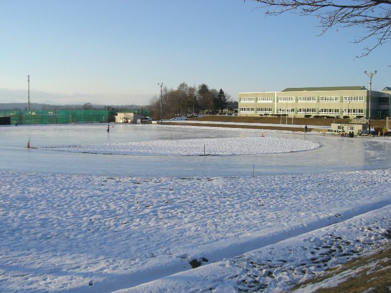 d0106909_1733518.jpg