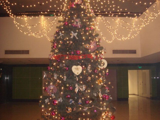 f0084609_3561357.jpg