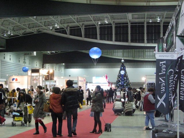 d0130610_16572029.jpg