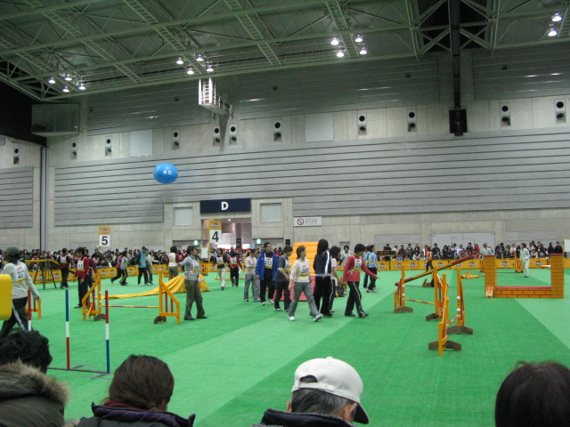 d0130610_1731463.jpg