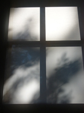 c0154713_1891812.jpg