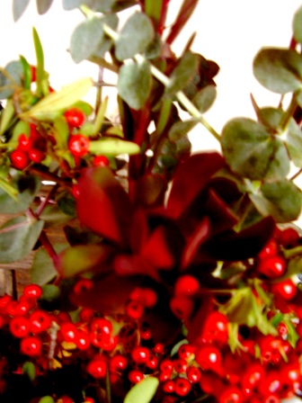 e0124916_10275475.jpg