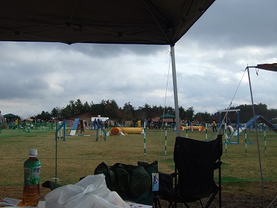 c0127617_18261112.jpg