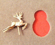 b0019820_2333694.jpg